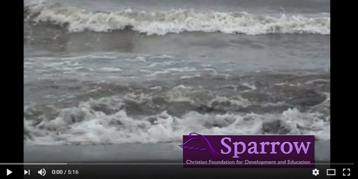 Promotie video stichting Sparrow