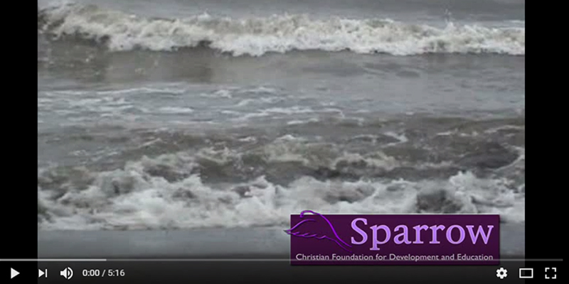Promotie video stichting Sparrow Promotie video stichting Sparrow