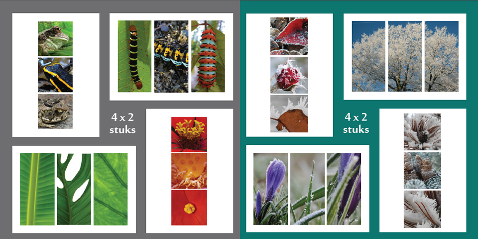 Kaarten Sparrow Foundation