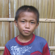 Robin | stichting Sparrow