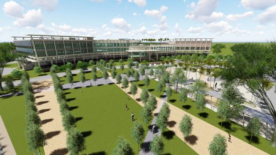 Afstudeervak John Ralfh stichting Sparrow ANIM