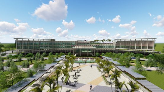 Afstudeervak John Ralfh stichting Sparrow DALWA