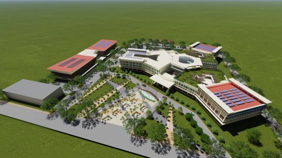 Afstudeervak John Ralfh stichting Sparrow TATLO