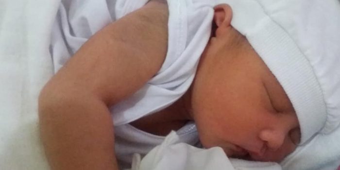 Letizia stichting Sparrow