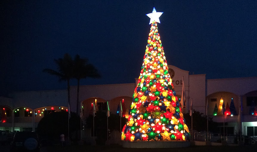 Kerstbrief Alexandra stichting Sparrow Kerstbrief Alexandra stichting Sparrow