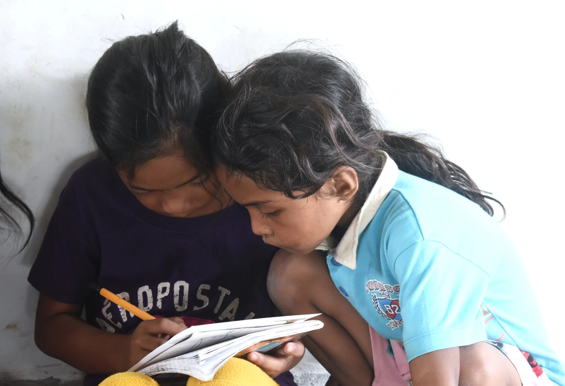 bijlessen paitan 2026 6 sparrow