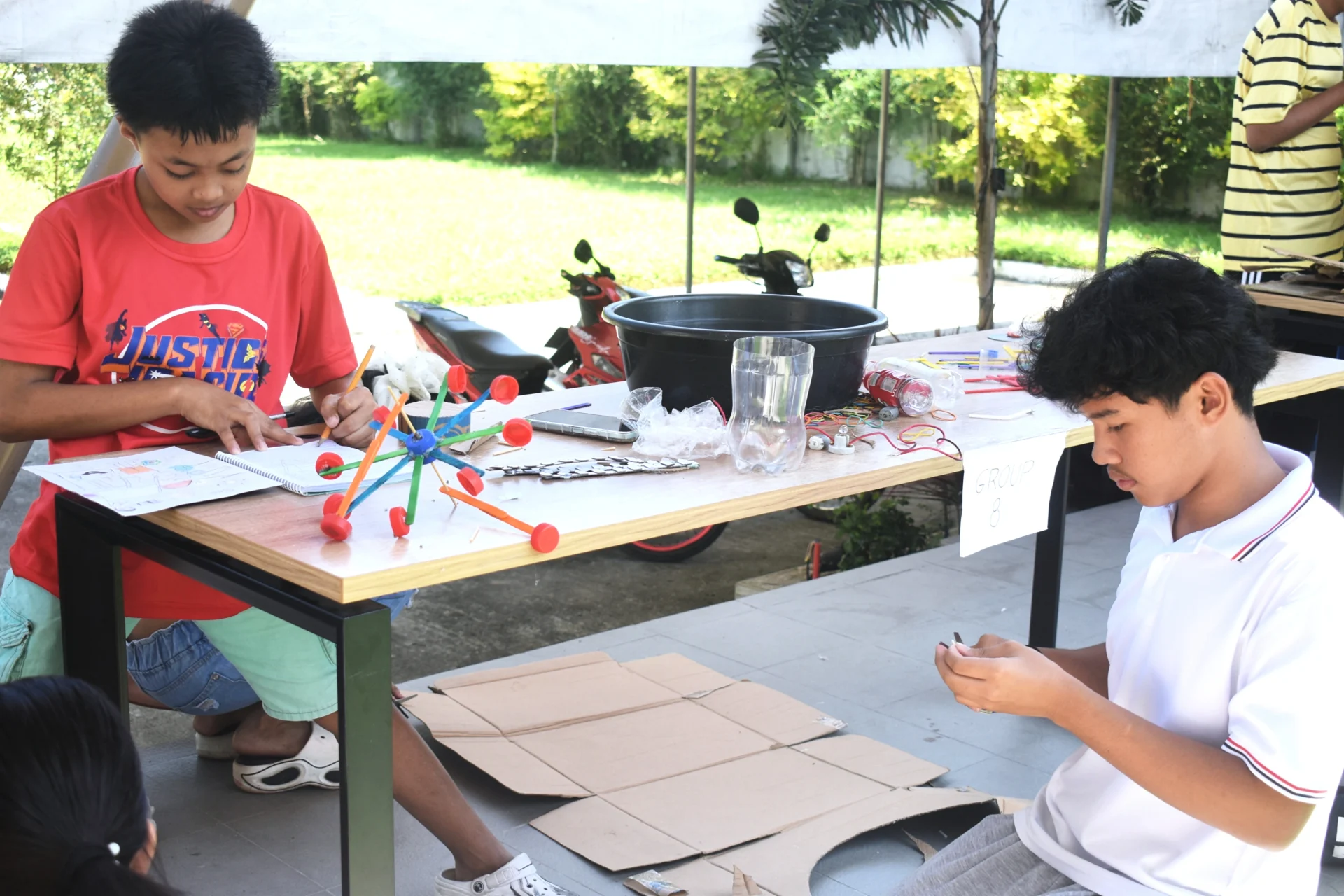 science day 2026 5 sparrow